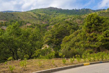 0d0e2ddf02e531b4c32baa5ae4fbe6c0 - 13