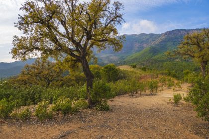 0d0e2ddf02e531b4c32baa5ae4fbe6c0 - 6