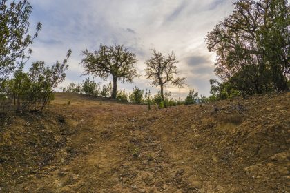 0d0e2ddf02e531b4c32baa5ae4fbe6c0 - 8