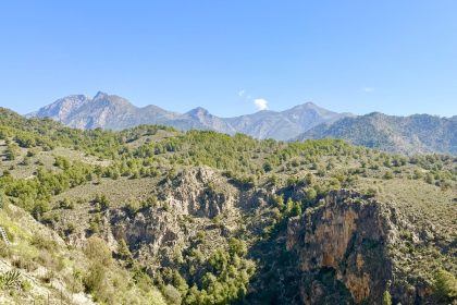 0d9b154cbb7f9ec7250be6987401e175 - 39