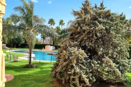 0df604c92865edfed3635f2b77633b5d - 28