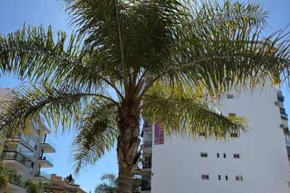 0ee1686ecb758367557266e2a6a1b27e - 27