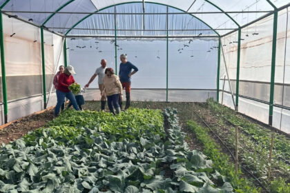 12af1f94f57c6e9fa565d14f738a8606 - 21