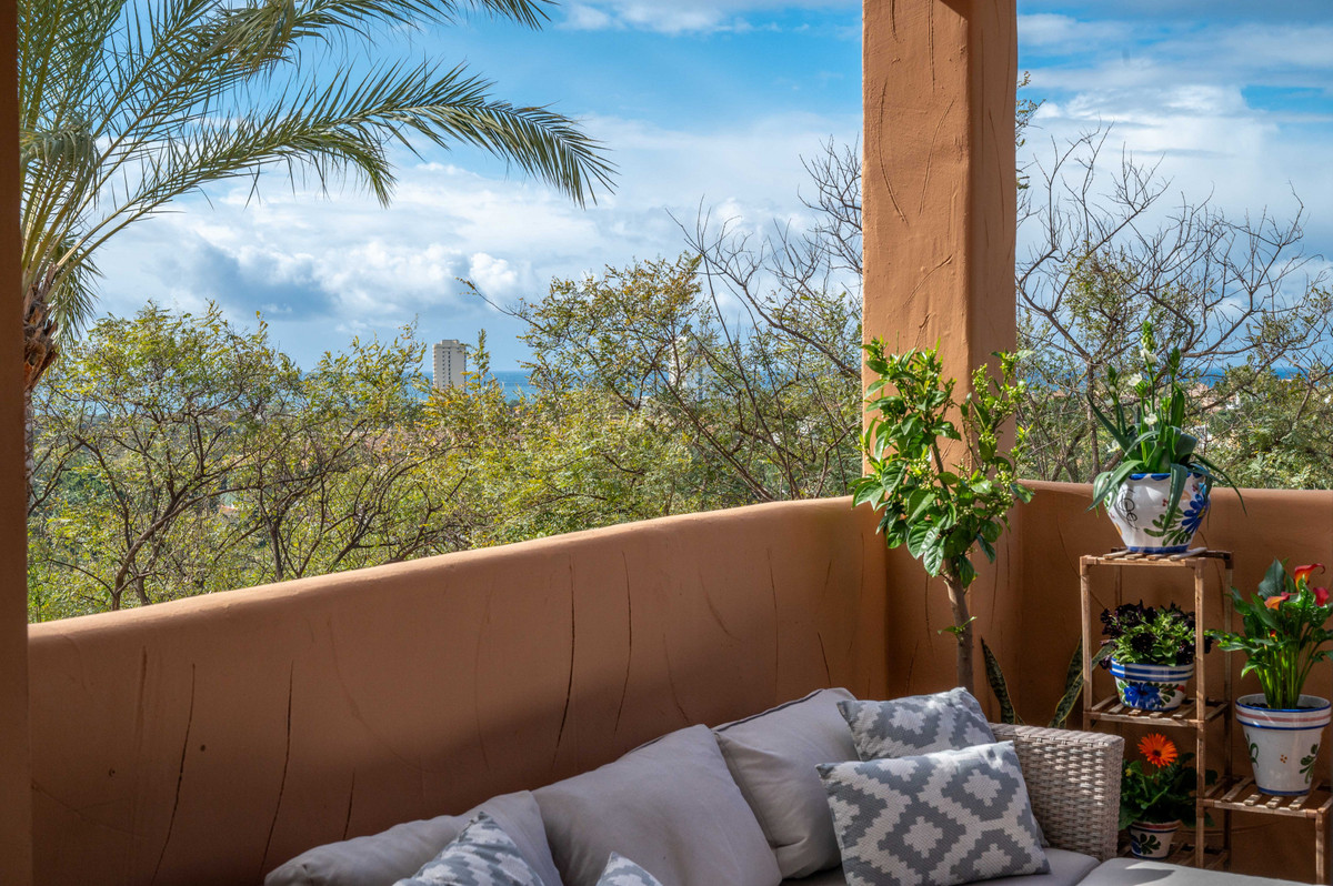 12e929e87931444e88940aec18ad49a2 - 24