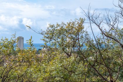 12e929e87931444e88940aec18ad49a2 - 25