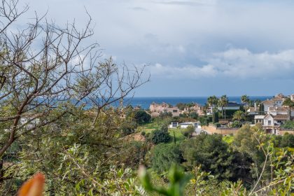 12e929e87931444e88940aec18ad49a2 - 26