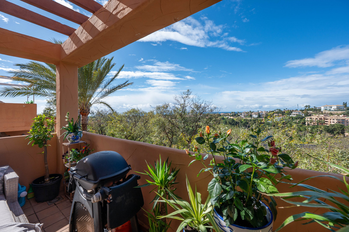 12e929e87931444e88940aec18ad49a2 - 30