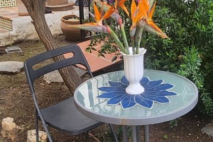 132b3763784e8a33286ecaa546461eef - 30