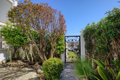 13f3d03bb082cd829a99d3d4642af8e6 - 19