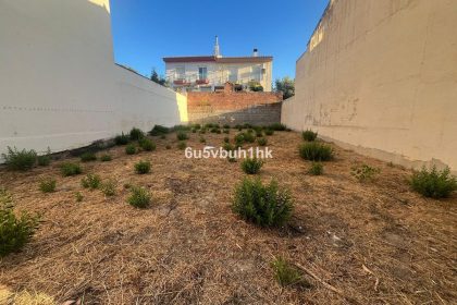 1464a73c2ac4a8e87f09beab0530cab1 - 1