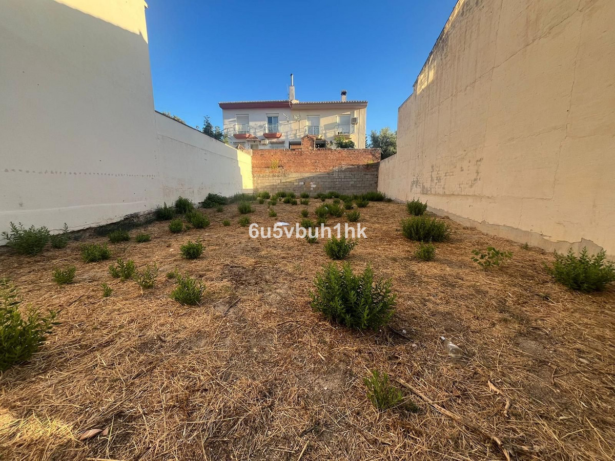 1464a73c2ac4a8e87f09beab0530cab1 - 1