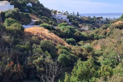 180e871b4cae4911eca99df72c606f6b - 2