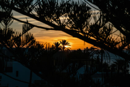 18500599c7f19462d5a628af2bbcabc3 - 31