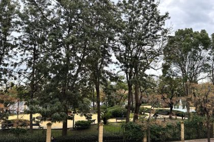 196ff2a0d6b1bcf1f82d1a43b315c32a - 33