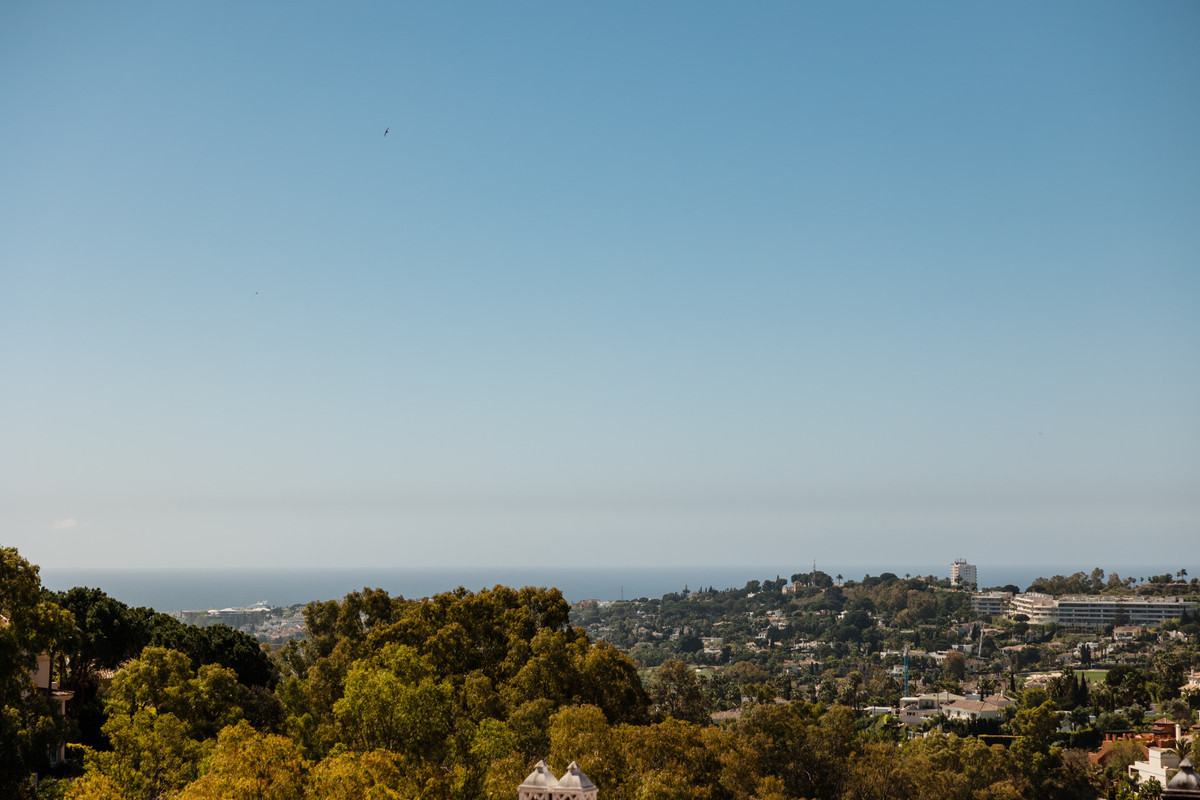 19c0f54e6f39ab391e834c4d90c14f79 - 24