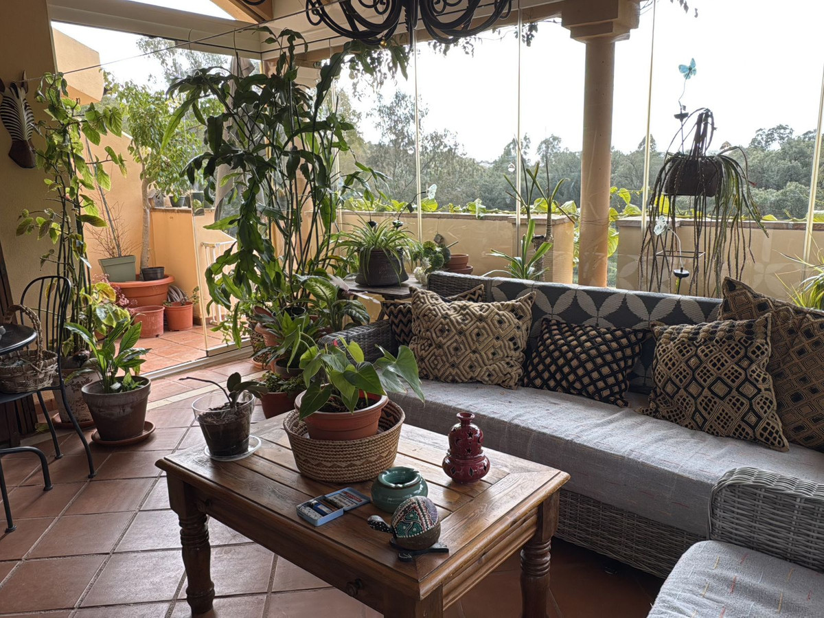 1c1036002f8b3bab0be600b6564a427b - 16