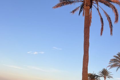 1c204a0d24dec7b674ec8d1deb158730 - 14