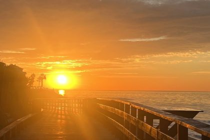 1c204a0d24dec7b674ec8d1deb158730 - 15