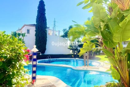 1efb9a29b360d7c0f823a2ecd2425ec0 - 24