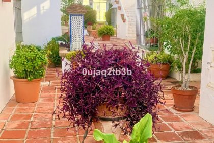 1efb9a29b360d7c0f823a2ecd2425ec0 - 26