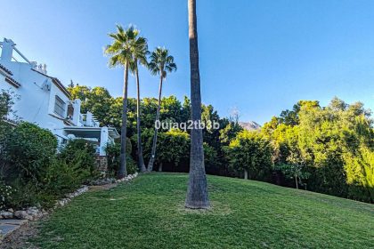 1efb9a29b360d7c0f823a2ecd2425ec0 - 30