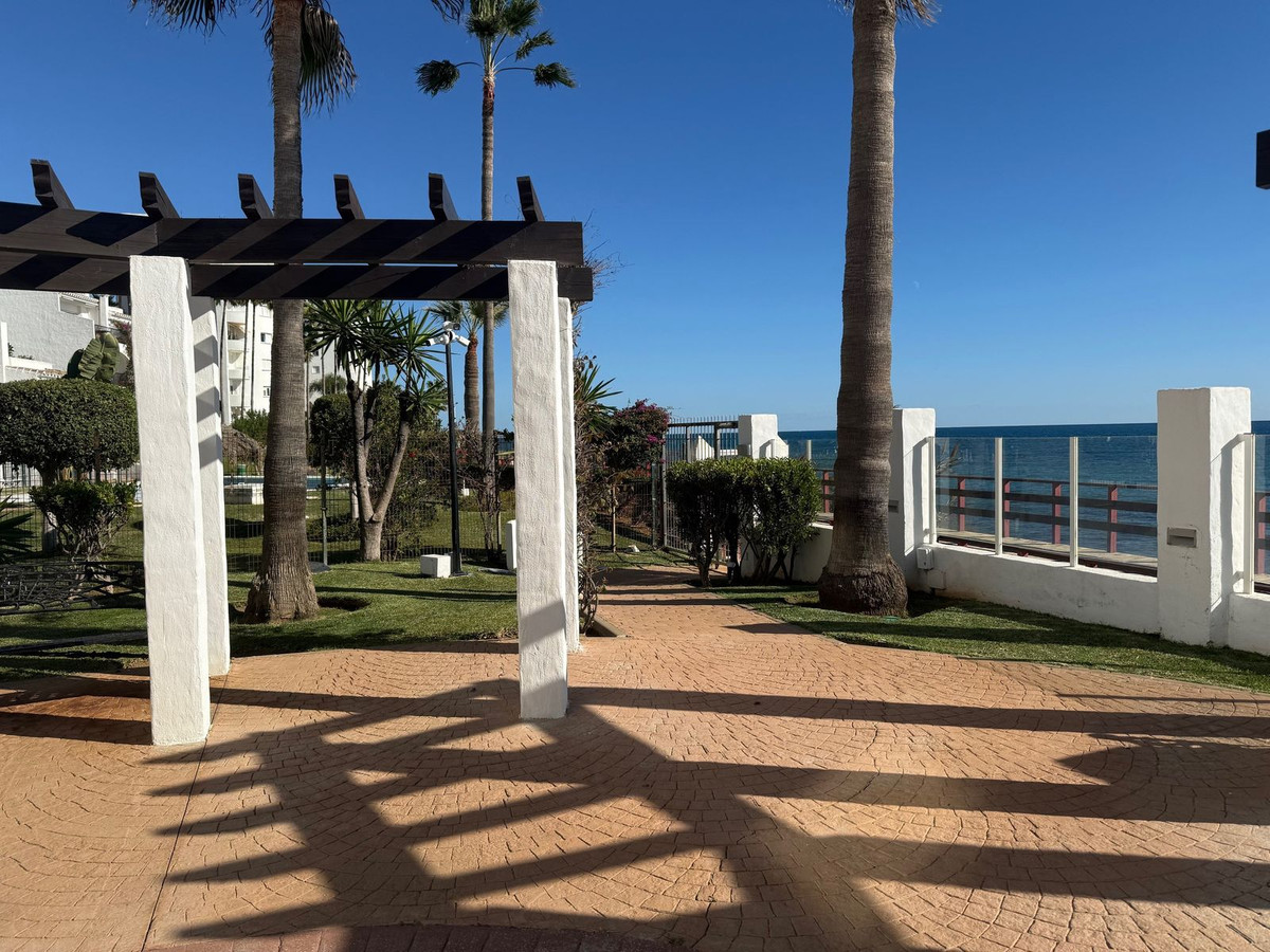 20a6d5179342c3dc9e2eb0412de15523 - 16