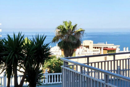 21a5dea78fa98f29ec8267f35e9ebb17 - 1