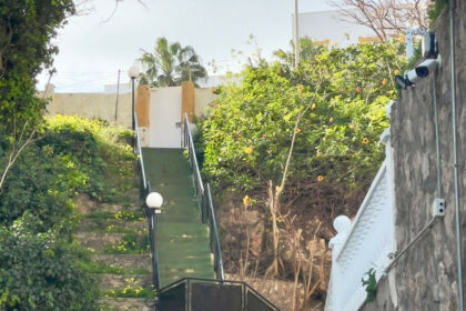 21a5dea78fa98f29ec8267f35e9ebb17 - 21