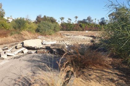 21dc1f4d1ce9f8884c460437151a6c8a - 3