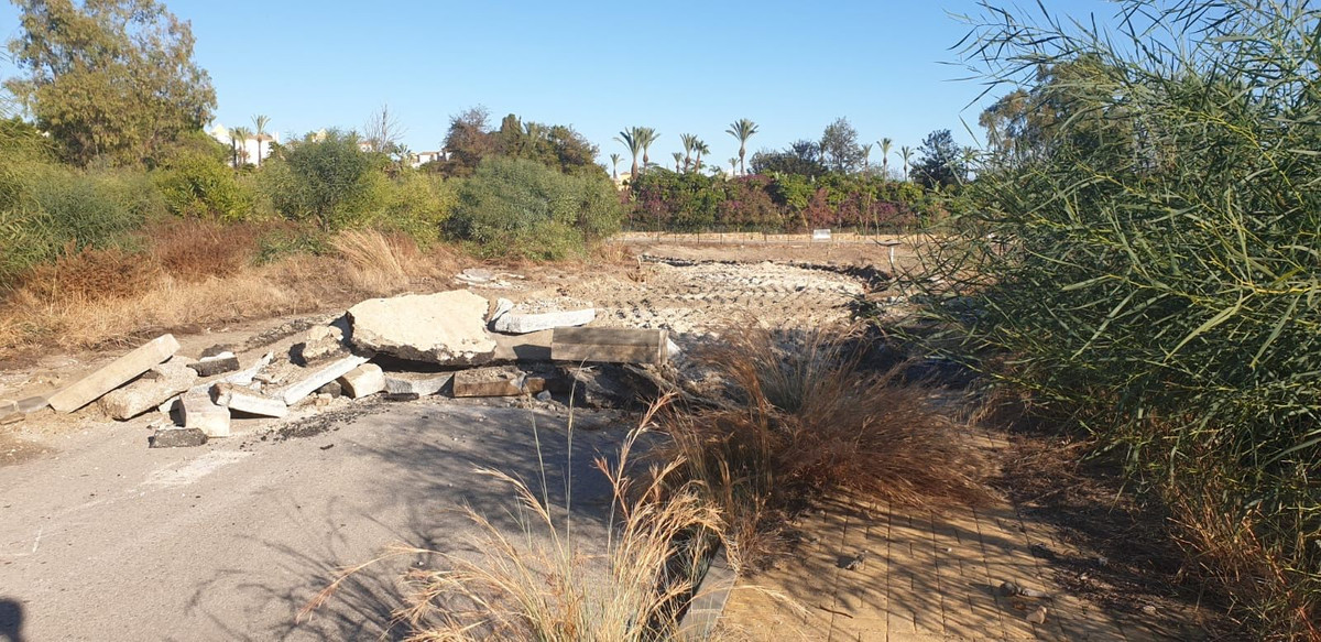 21dc1f4d1ce9f8884c460437151a6c8a - 3