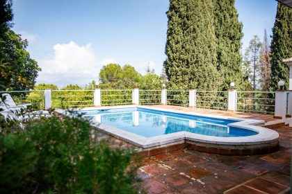 223b264b7e6a2a673f56a1b47c059450 - 45