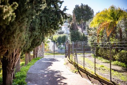 223b264b7e6a2a673f56a1b47c059450 - 49