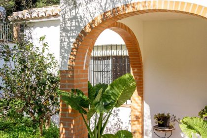 223b264b7e6a2a673f56a1b47c059450 - 58