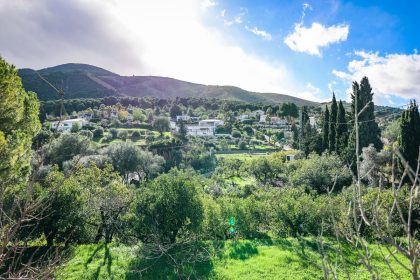 223b264b7e6a2a673f56a1b47c059450 - 60