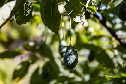 223b264b7e6a2a673f56a1b47c059450 - 61