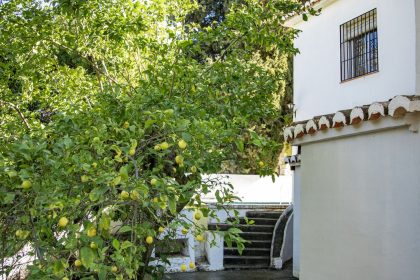 223b264b7e6a2a673f56a1b47c059450 - 63