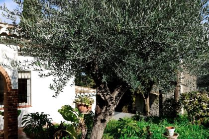 223b264b7e6a2a673f56a1b47c059450 - 66