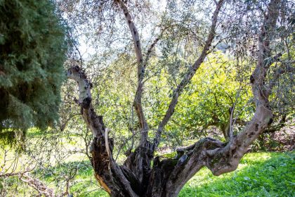 223b264b7e6a2a673f56a1b47c059450 - 67