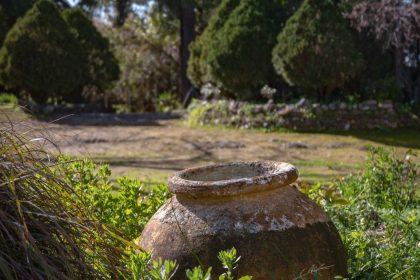 223b264b7e6a2a673f56a1b47c059450 - 68