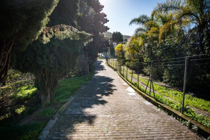 223b264b7e6a2a673f56a1b47c059450 - 69