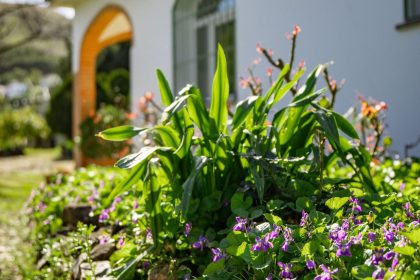 223b264b7e6a2a673f56a1b47c059450 - 71