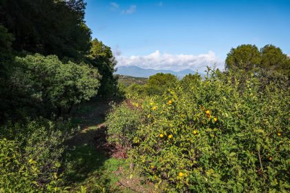 223b264b7e6a2a673f56a1b47c059450 - 72