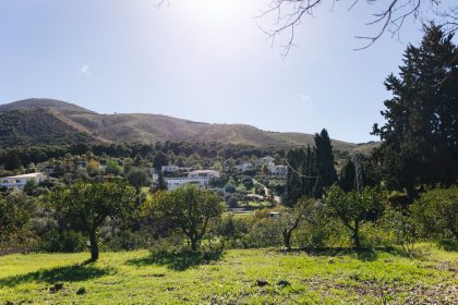 223b264b7e6a2a673f56a1b47c059450 - 74