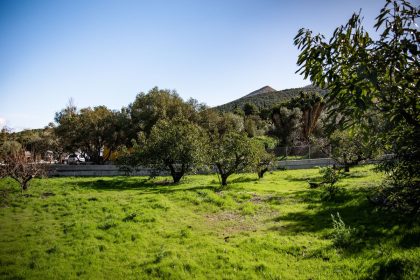 223b264b7e6a2a673f56a1b47c059450 - 75