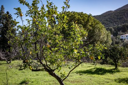 223b264b7e6a2a673f56a1b47c059450 - 76