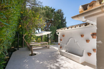 238e3e1bf65faa7d22bca453025bc515 - 34