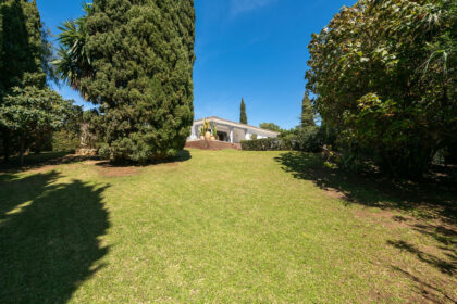 238e3e1bf65faa7d22bca453025bc515 - 41