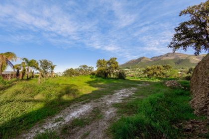 24f4db6d5bee76db5af0401eb4f995a4 - 61