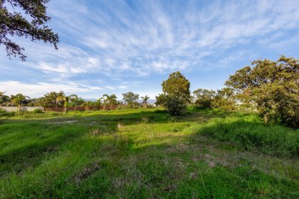 24f4db6d5bee76db5af0401eb4f995a4 - 62