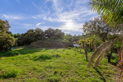 24f4db6d5bee76db5af0401eb4f995a4 - 63